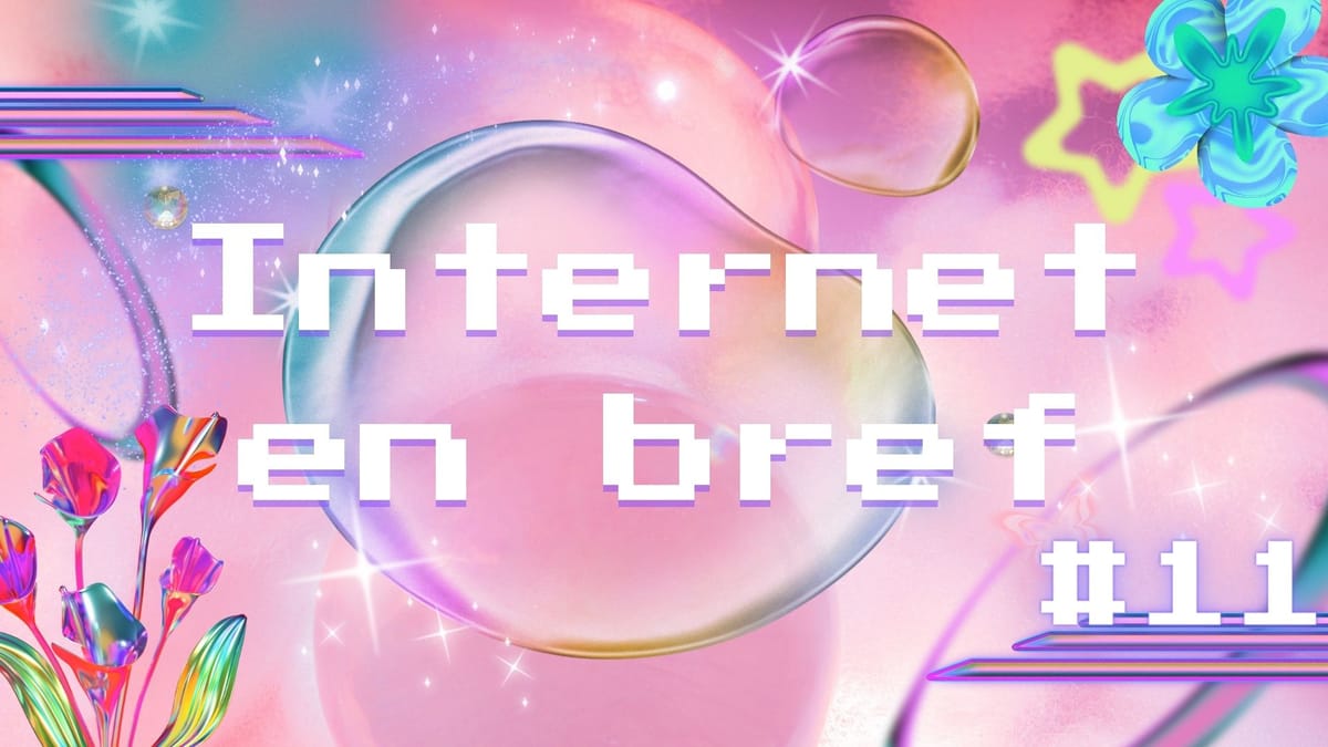 Internet en Bref #11 - ZLAN, fin de TikTok ? & Femmes dans le gaming