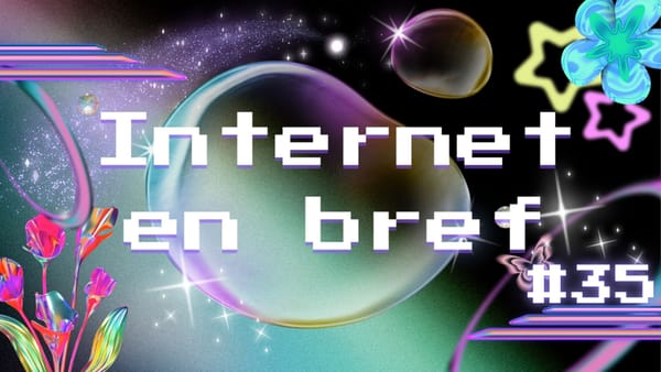 Internet en Bref #35 - Nikocado, Kaizen & Monnaie Virtuelle